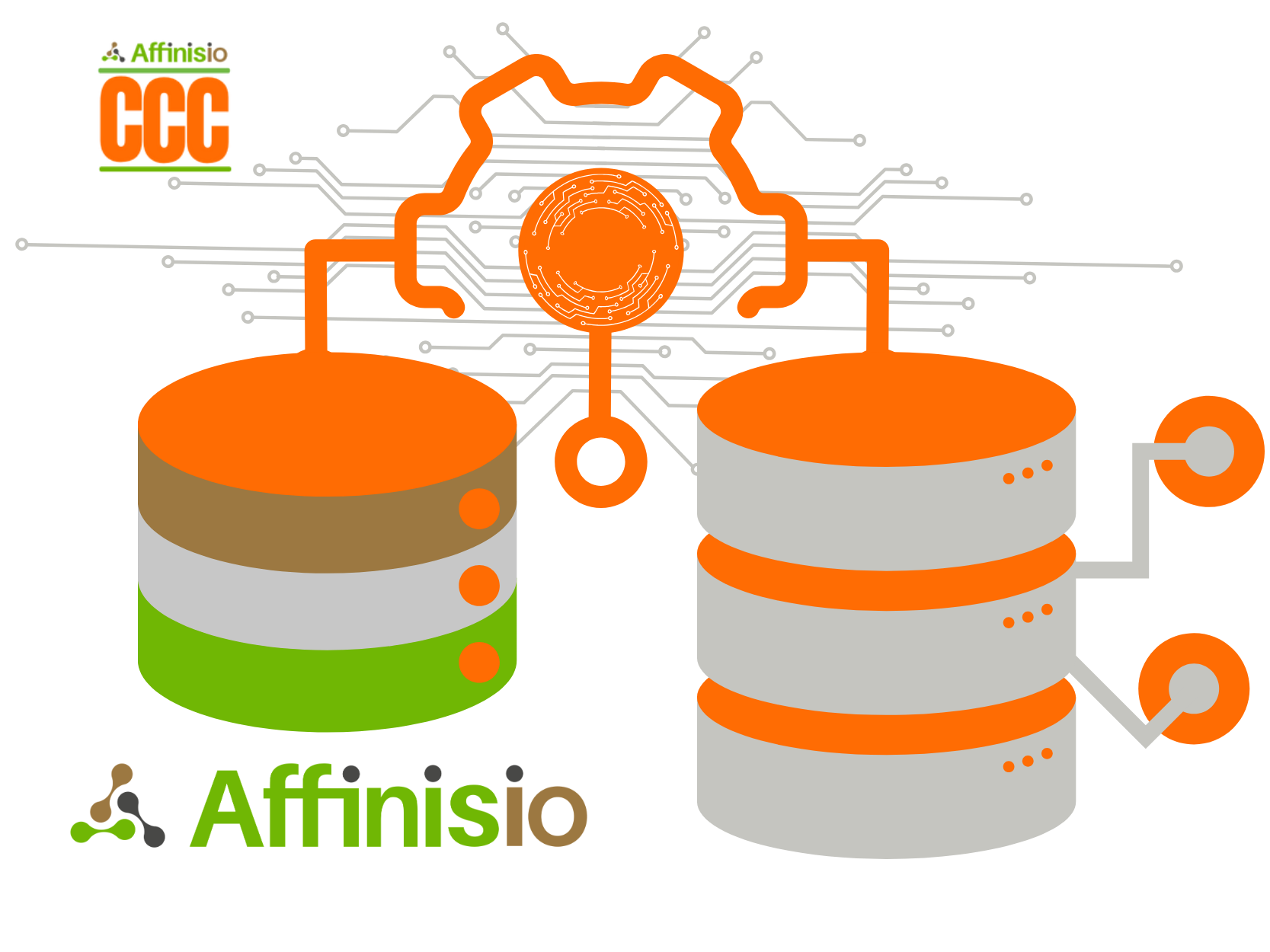 Data stores linked through a single core, Affinisio(CCC)